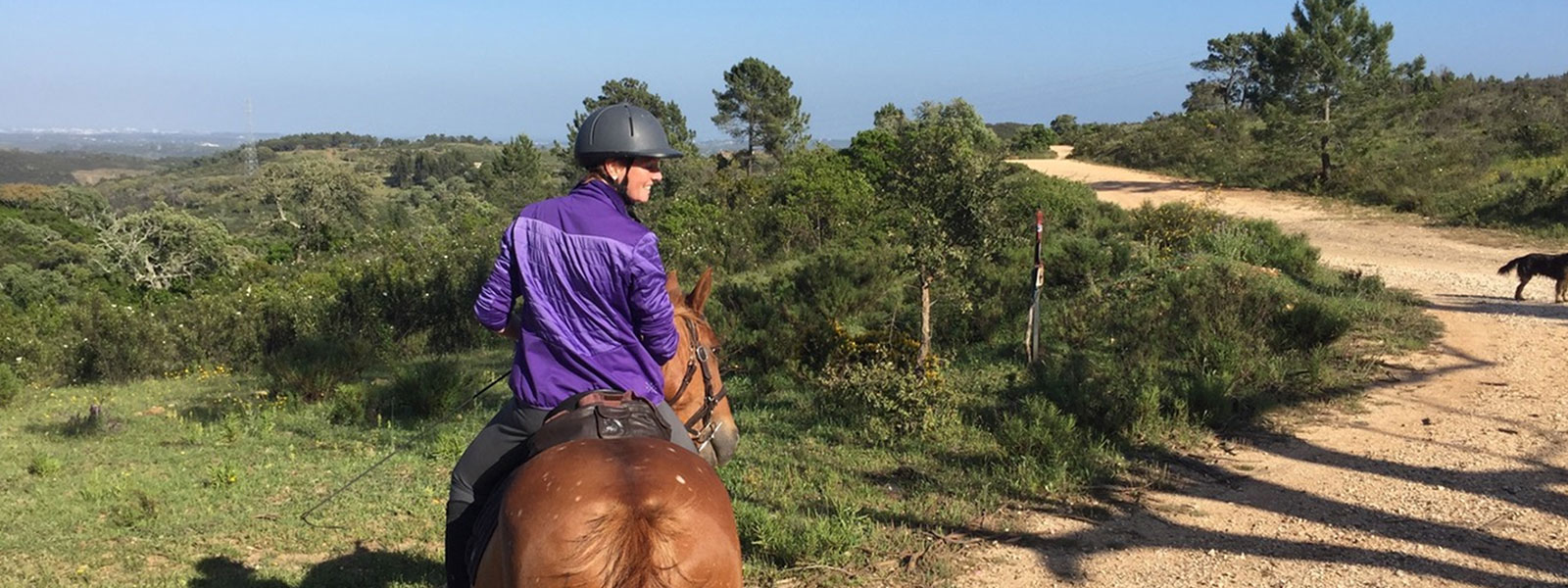 Marjolein van Dijk / Een tijd na mijn Portugalweek voel ik de inzichten nog sterker